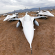 Ilustración para el artículo titulado Dentro del cementerio de aviones militares más grande del mundo
